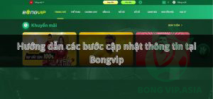 cập nhật thông tin bongvip