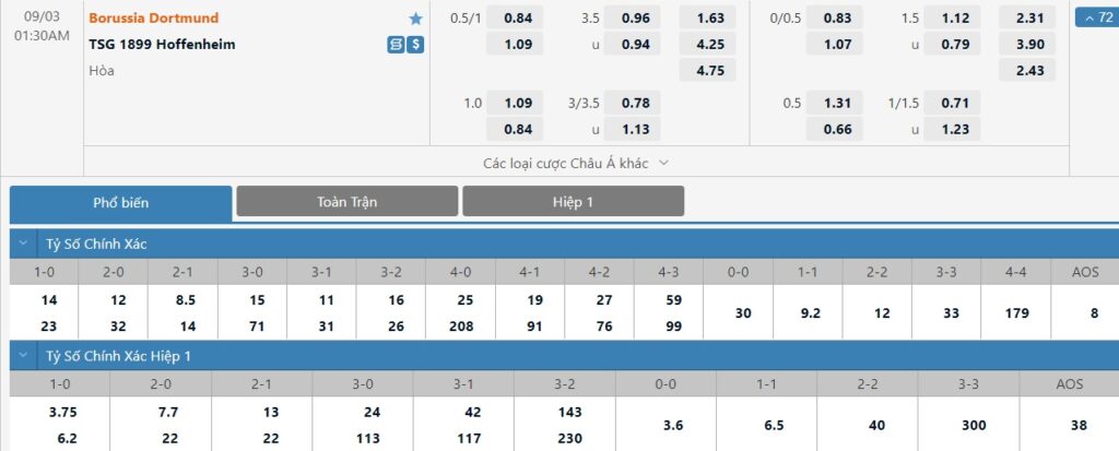 Bảng tỷ lệ kèo trận đấu Borussia Dortmund vs Hoffenheim