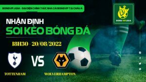 Bongvip soi kèo Tottenham vs Wolverhampton