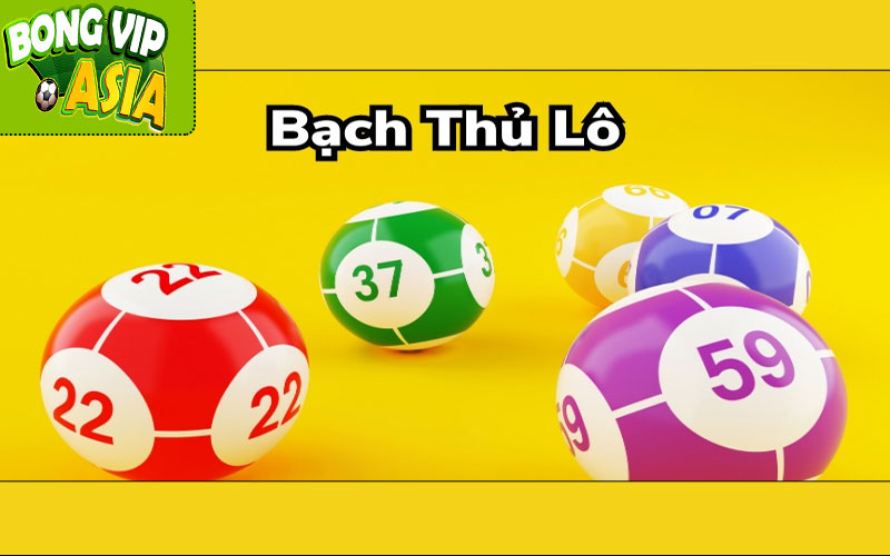 Cách Soi Bạch Thủ Lô Hiệu Quả Nhất