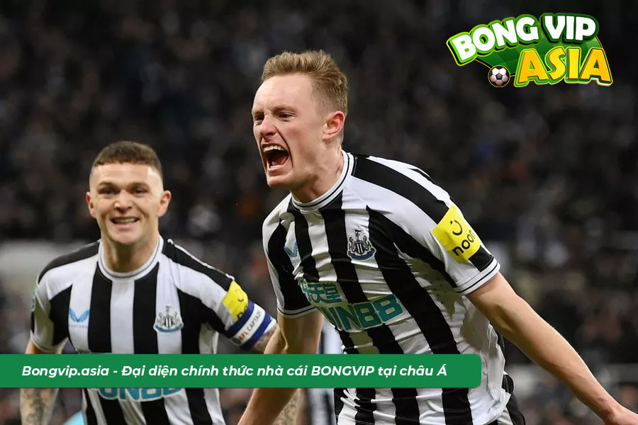 Dự đoán soi kèo Newcastle United vs Southampton cửa Châu Âu