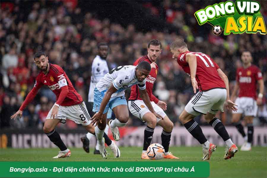 Soi kèo Manchester Utd vs Crystal Palace Ngày 21/09/2024