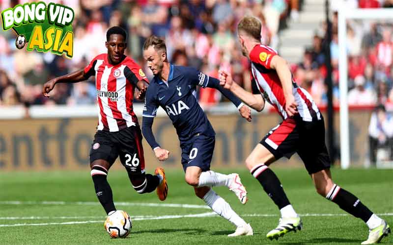 Soi kèo Tottenham vs Brentford Ngày 21/09/2024