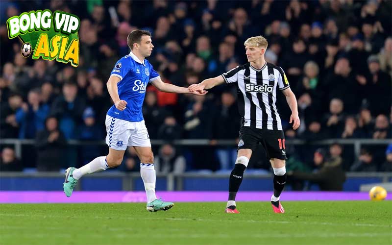 Soi kèo Everton vs Newcastle Ngày 05/10/2024