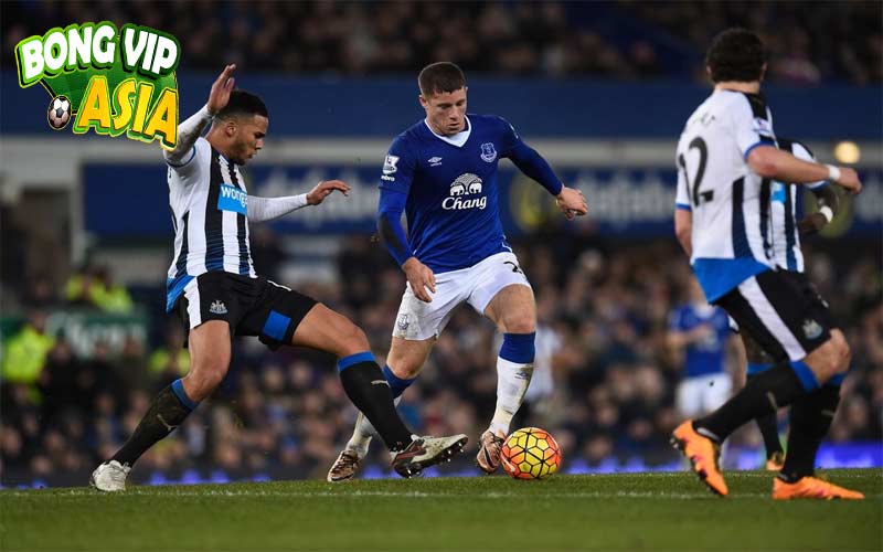 Soi kèo Everton vs Newcastle Ngày 05/10/2024