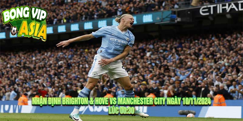 Nhận Định Brighton & Hove vs Manchester City Ngày 10/11/2024