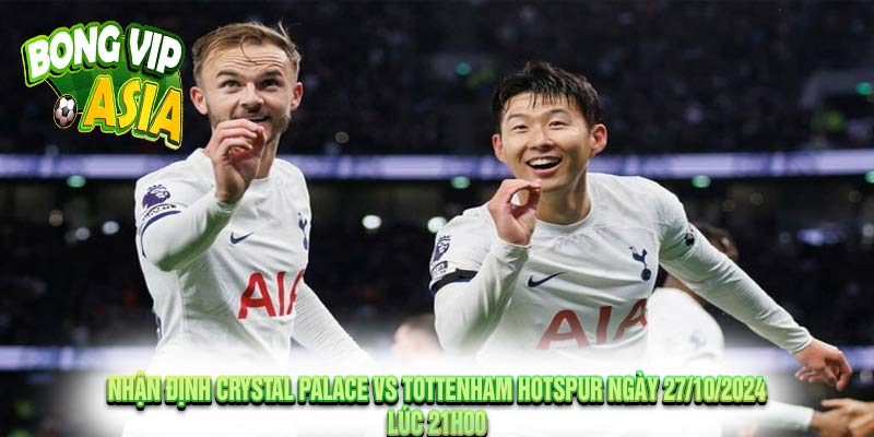 Nhận định Crystal Palace vs Tottenham Hotspur Ngày 27/10/2024