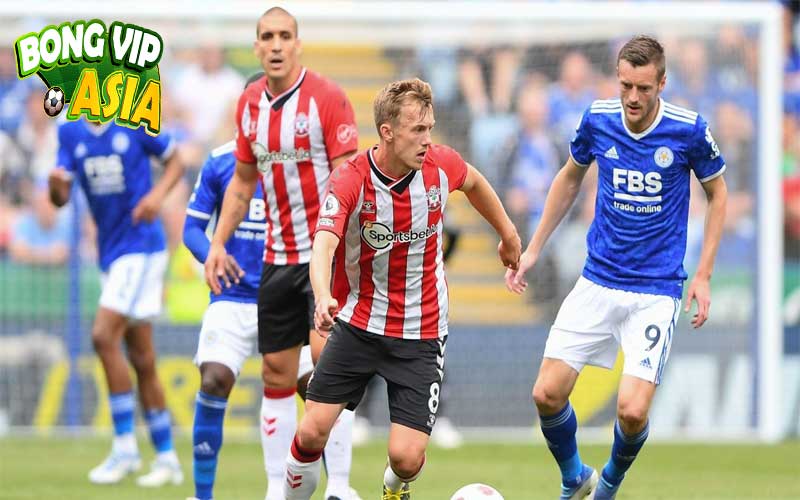 Soi Kèo Southampton vs Leicester Ngày 19/10/2024