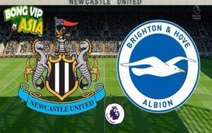 Soi Kèo Newcastle vs Brighton Ngày 19/10/2024