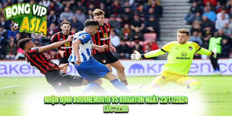 Nhận định Bournemouth vs Brighton Ngày 23/11/2024