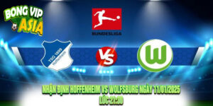 Nhận Định Hoffenheim vs Wolfsburg Ngày 11/01/2025