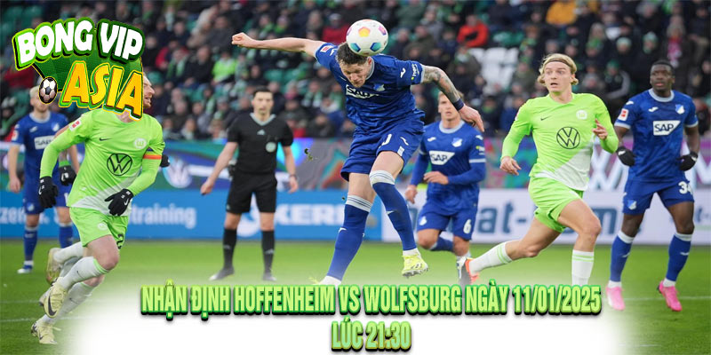 Nhận Định Hoffenheim vs Wolfsburg Ngày 11/01/2025